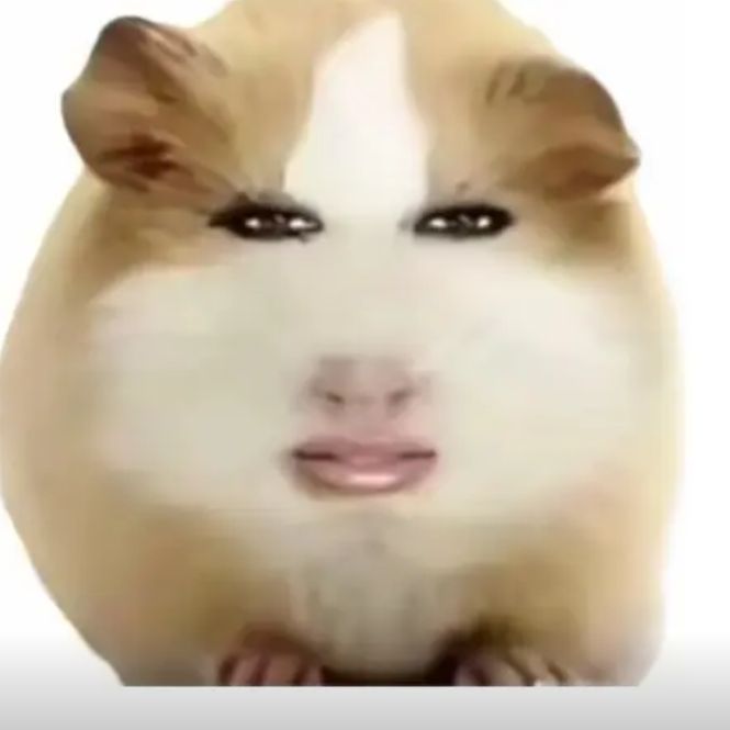 达薇戴