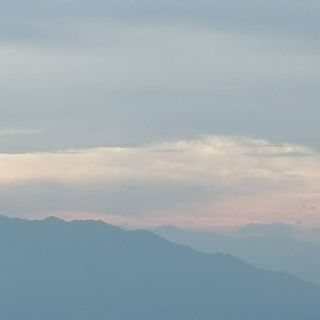 芝士汉堡Zs
