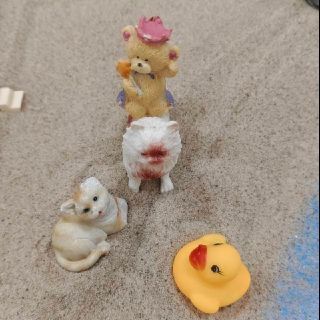 班级树洞