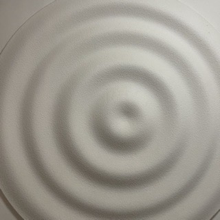 不装大会小树洞
