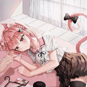 慵懒母猫