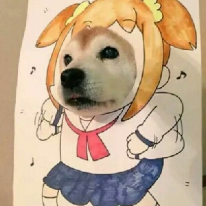 寡王